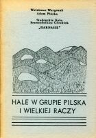 Hale w grupie Pilska i Wielkiej Raczy